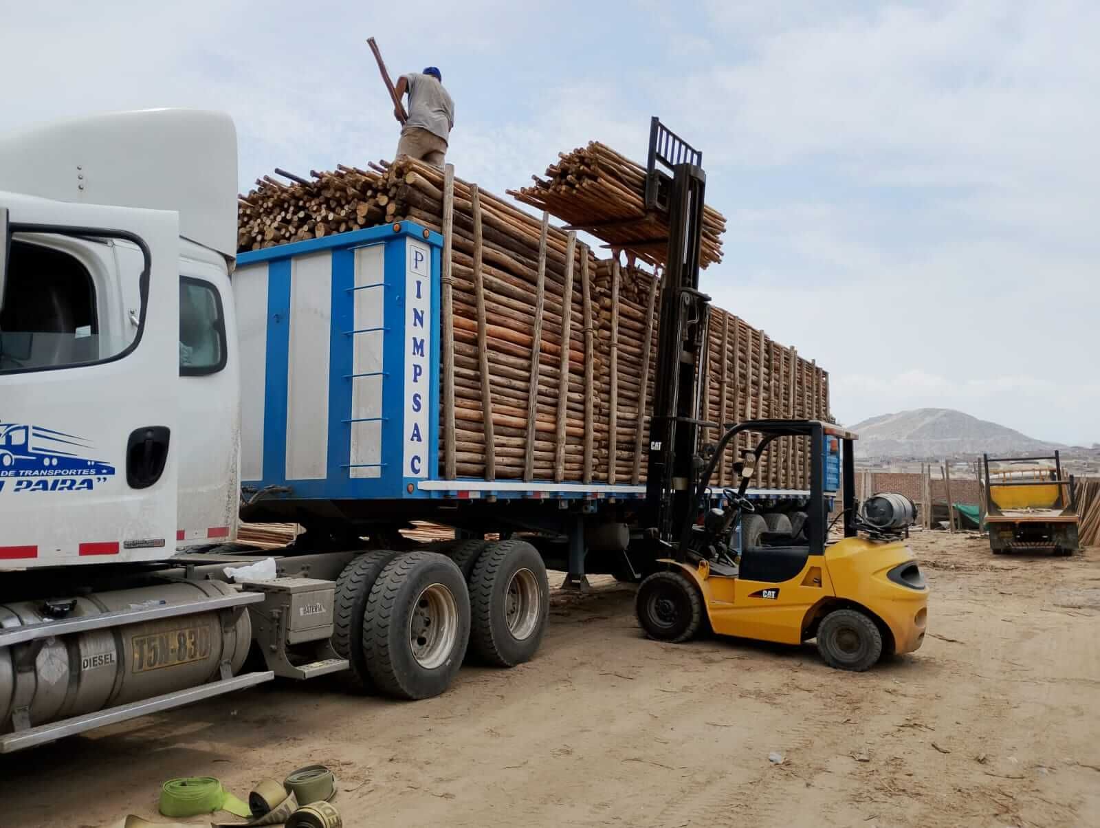 Transporte de madera eucalipto